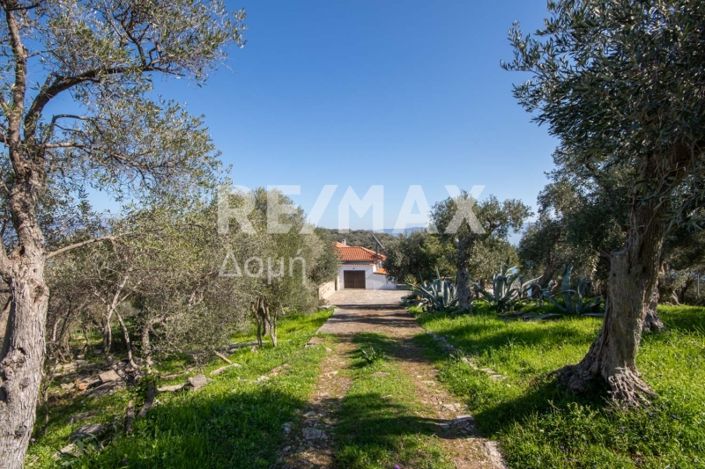 Image No.40-Maison de 3 chambres à vendre à Magnésie