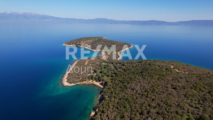 Image No.41-Maison de 3 chambres à vendre à Magnésie