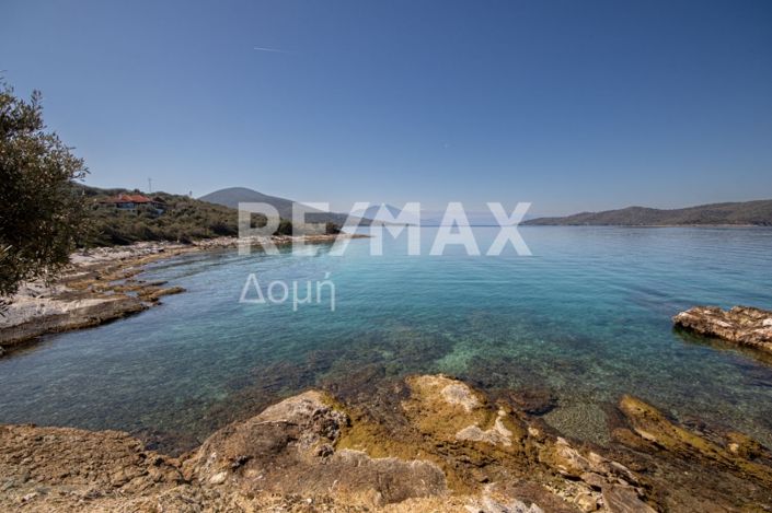 Image No.44-Maison de 3 chambres à vendre à Magnésie