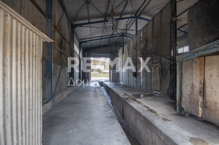 Image No.10-Propriété de 2 chambres à vendre à Magnésie