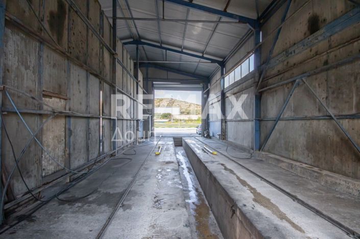 Image No.12-Propriété de 2 chambres à vendre à Magnésie