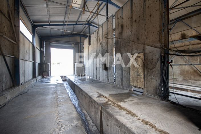 Image No.13-Propriété de 2 chambres à vendre à Magnésie