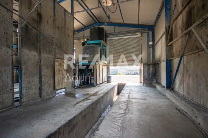 Image No.14-Propriété de 2 chambres à vendre à Magnésie