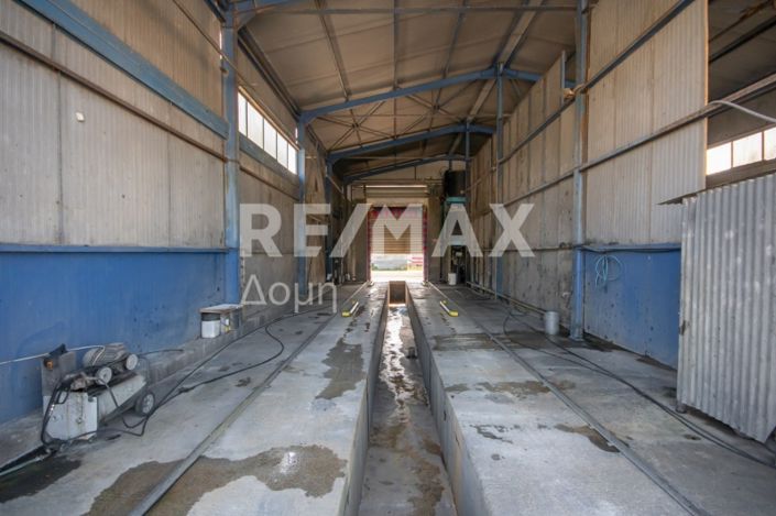 Image No.9-Propriété de 2 chambres à vendre à Magnésie