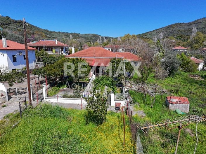 Image No.27-Propriété de 1 chambre à vendre à Magnésie