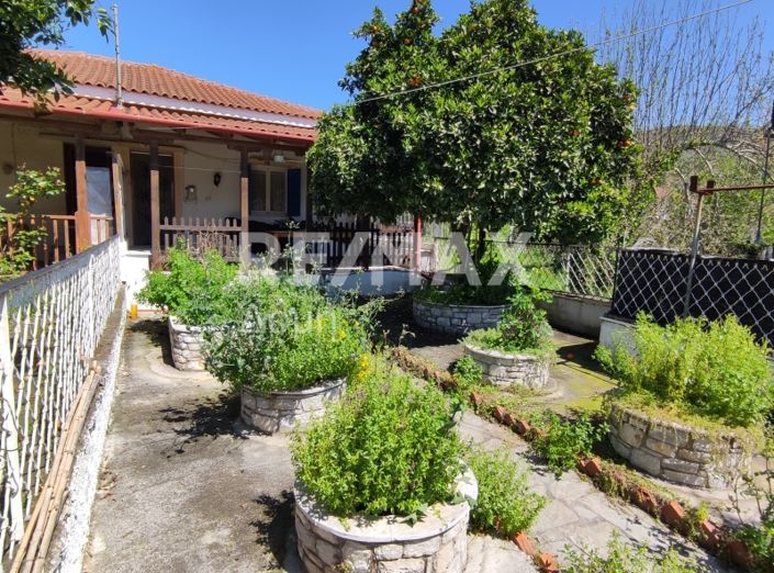 Image No.6-Propriété de 1 chambre à vendre à Magnésie