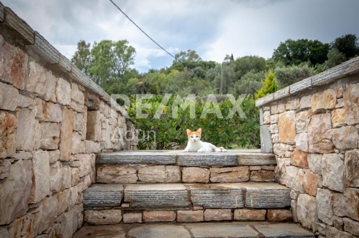 Image No.19-Propriété de 4 chambres à vendre à Alonnisos