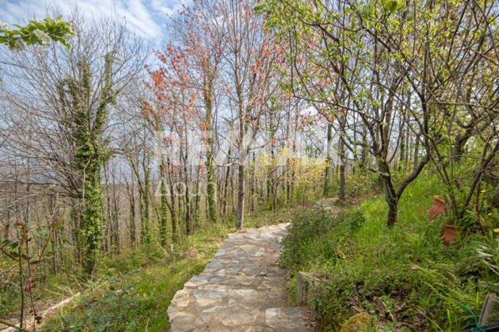 Image No.48-4 Bed Property for sale