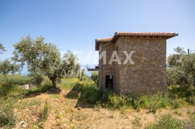 1 - Magnesia, House