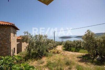 1 - Magnesia, House