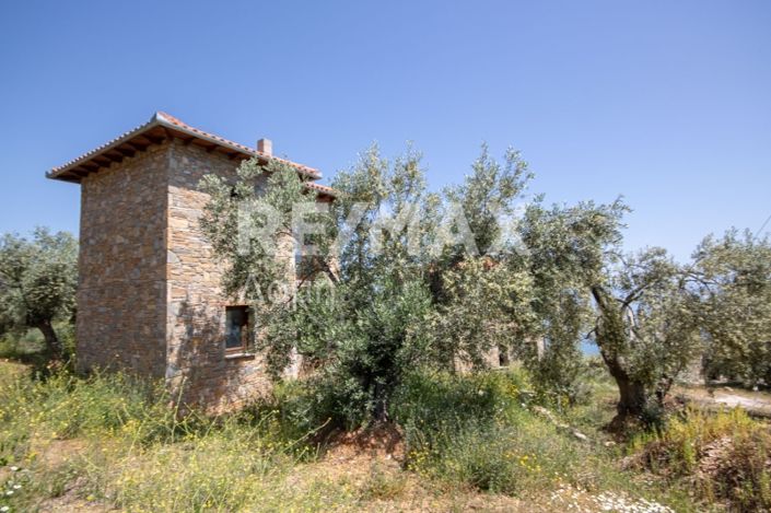 Image No.8-Maison de 2 chambres à vendre à Magnésie