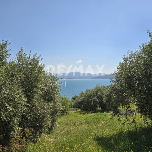 Image No.11-Property for sale