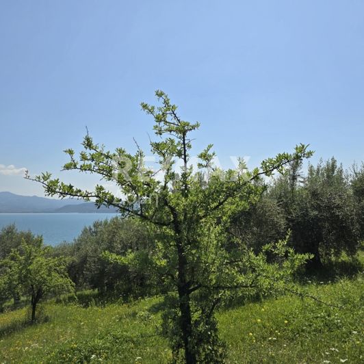 Image No.17-Property for sale