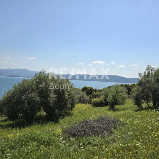 Image No.8-Property for sale