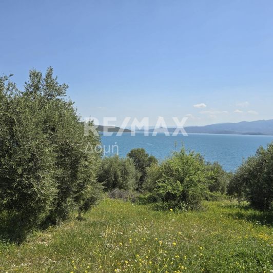 Image No.9-Property for sale