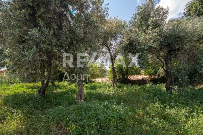 Image No.10-Land for sale