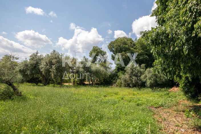 Image No.11-Land for sale