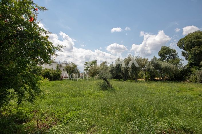 Image No.12-Land for sale