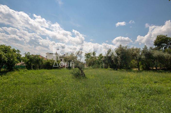 Image No.14-Land for sale