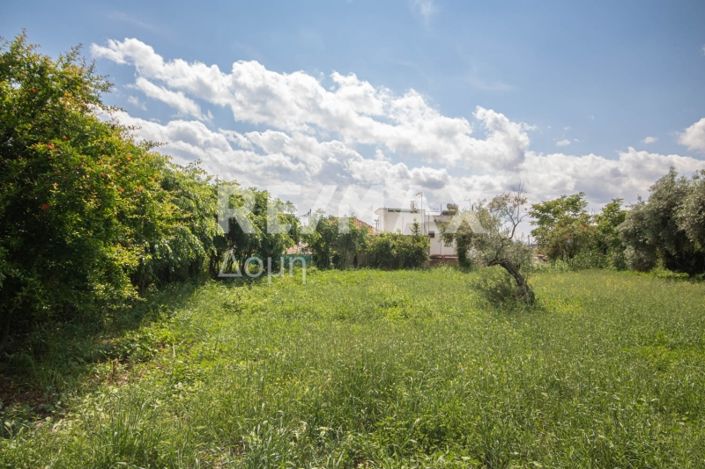 Image No.2-Land for sale