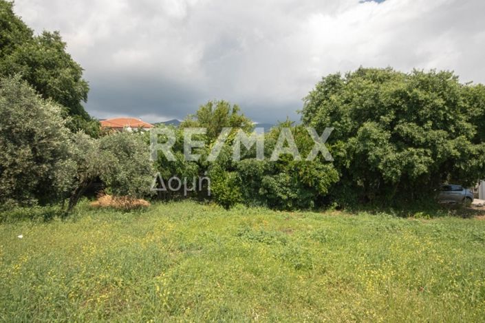 Image No.23-Land for sale