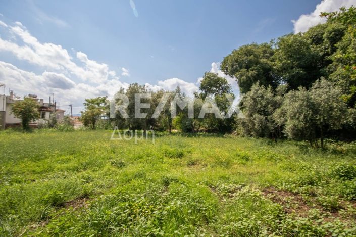 Image No.26-Land for sale