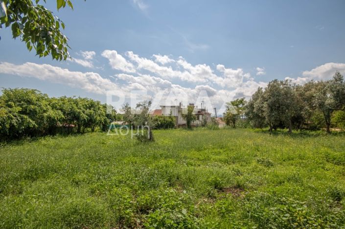 Image No.27-Land for sale