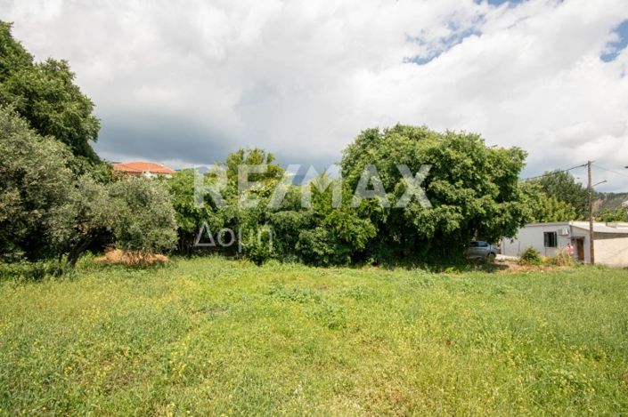 Image No.4-Land for sale