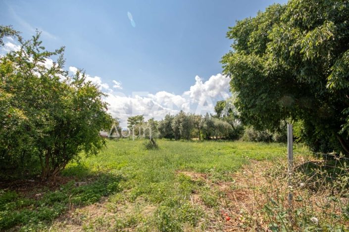 Image No.7-Land for sale