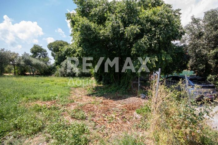 Image No.8-Land for sale