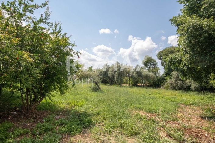 Image No.9-Land for sale