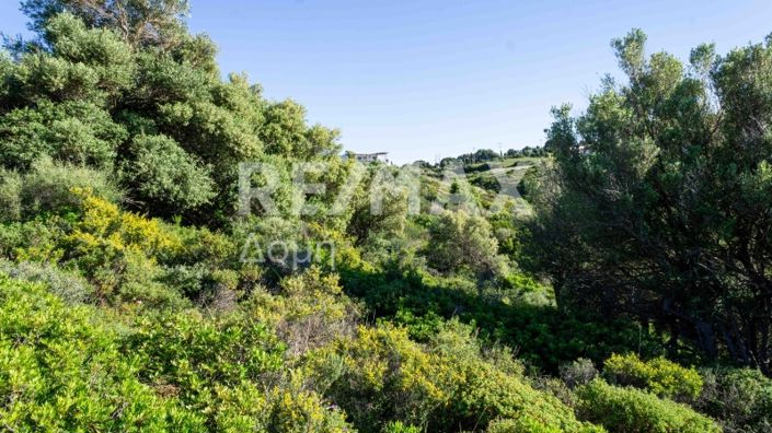 Image No.4-Propriété à vendre à Skiathos