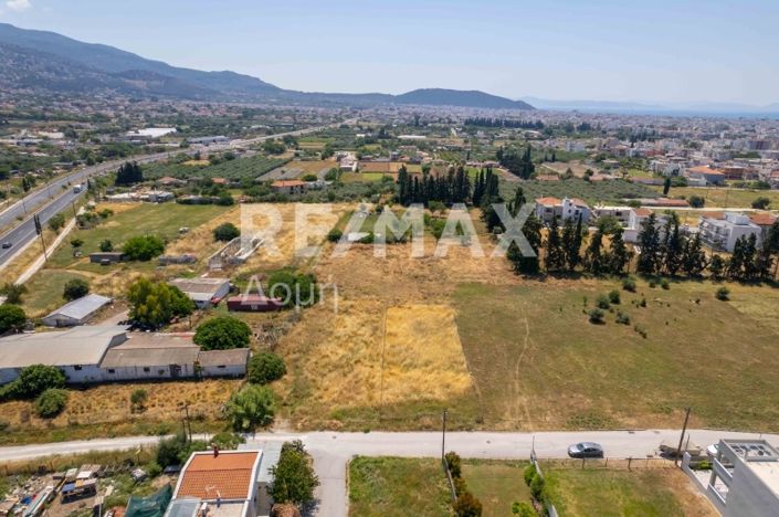 Image No.7-Terre à vendre à Magnésie