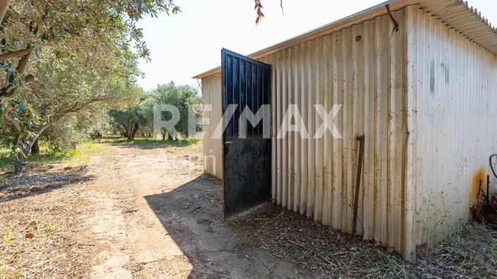 Image No.18-Maison de 2 chambres à vendre à Magnésie