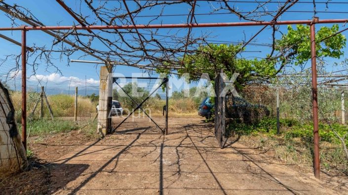 Image No.22-Maison de 2 chambres à vendre à Magnésie