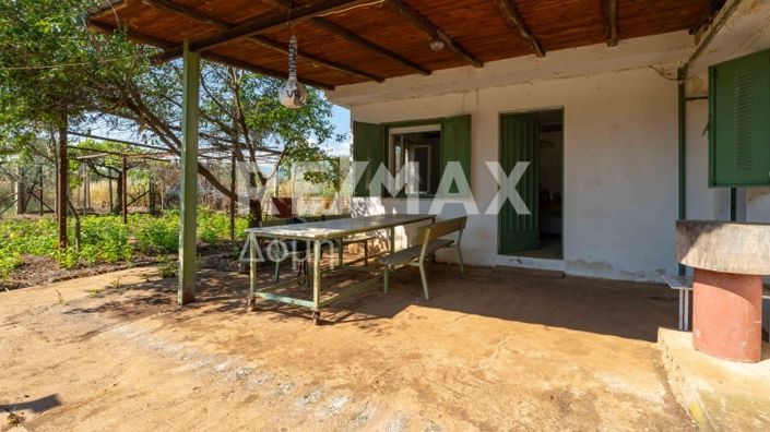 Image No.23-Maison de 2 chambres à vendre à Magnésie