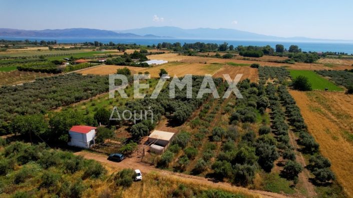 Image No.25-Maison de 2 chambres à vendre à Magnésie