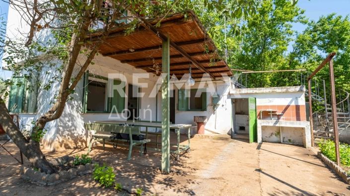 Image No.40-Maison de 2 chambres à vendre à Magnésie