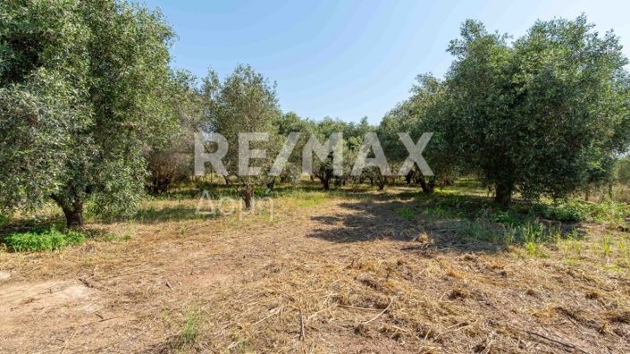 Image No.43-Maison de 2 chambres à vendre à Magnésie