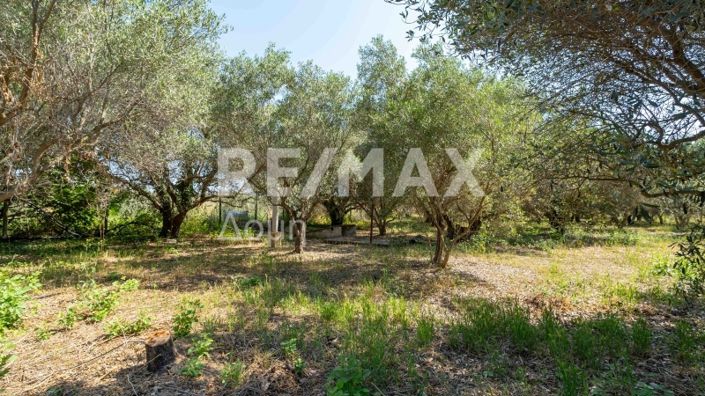 Image No.44-Maison de 2 chambres à vendre à Magnésie