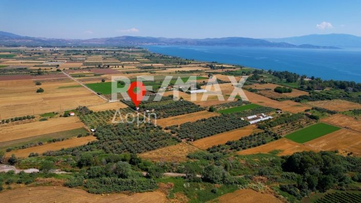 Image No.46-Maison de 2 chambres à vendre à Magnésie