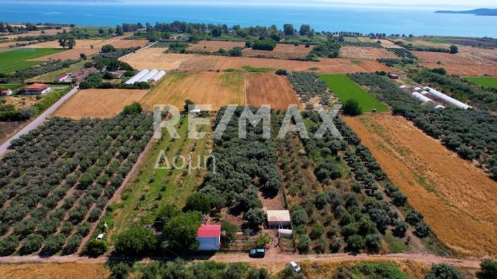 Image No.47-Maison de 2 chambres à vendre à Magnésie
