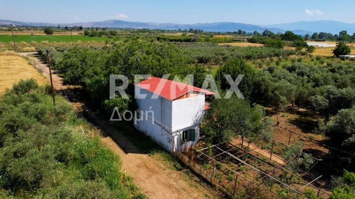 Image No.48-Maison de 2 chambres à vendre à Magnésie