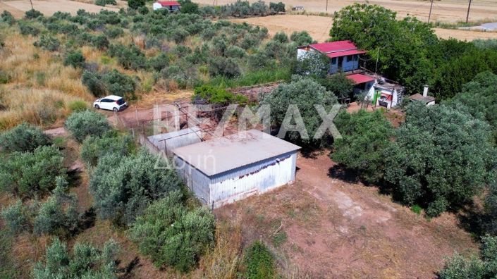 Image No.49-Maison de 2 chambres à vendre à Magnésie