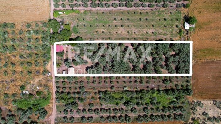 Image No.5-Maison de 2 chambres à vendre à Magnésie