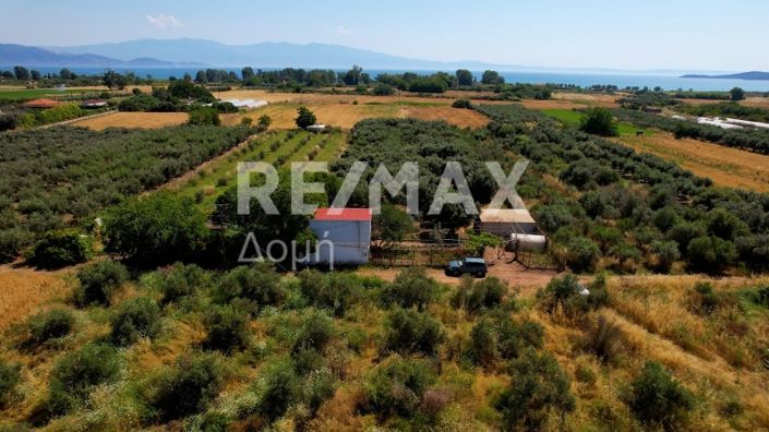 Image No.52-Maison de 2 chambres à vendre à Magnésie