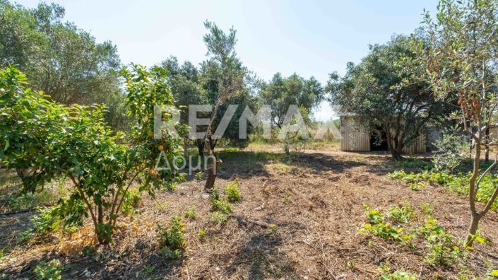 Image No.54-Maison de 2 chambres à vendre à Magnésie