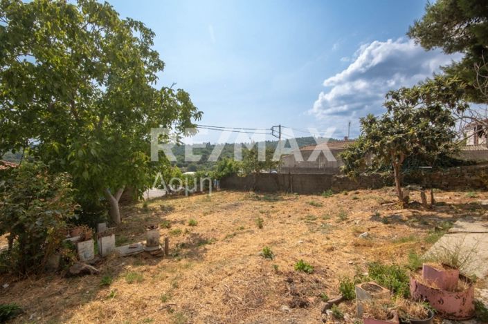 Image No.13-Maison de 1 chambre à vendre à Magnésie