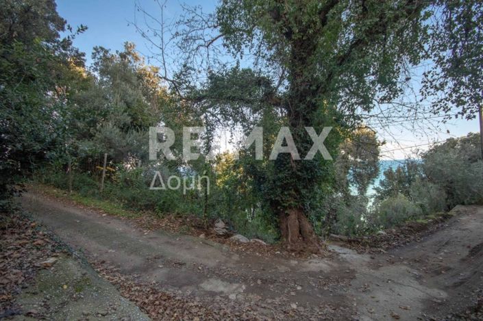 Image No.19-Property for sale