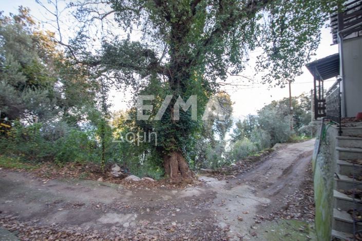 Image No.20-Property for sale